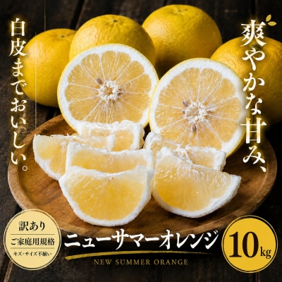 <訳あり 愛媛県産ニューサマーオレンジ 合計約10kg>日向夏 小夏 甘い ご家庭用 果汁