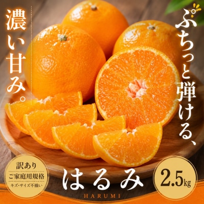 <訳あり 愛媛県産はるみ 合計約2.5kg>甘い ご家庭用 果汁 果物 愛媛