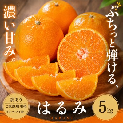 <訳あり 愛媛県産はるみ 合計約5kg>甘い ご家庭用 果汁 果物 愛媛