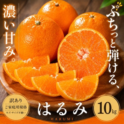 <訳あり 愛媛県産はるみ 合計約10kg>甘い ご家庭用 果汁 果物 愛媛