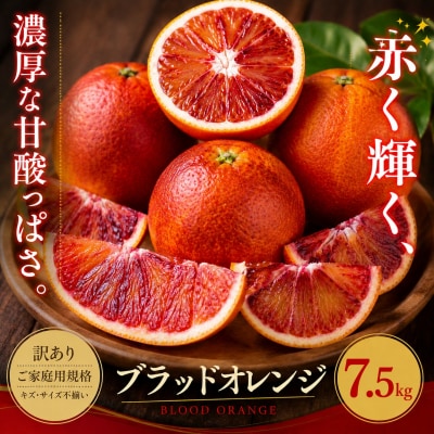 <訳あり 愛媛県産ブラッドオレンジ 合計約7.5kg>赤い 果肉 濃厚 甘い ご家庭用 愛媛