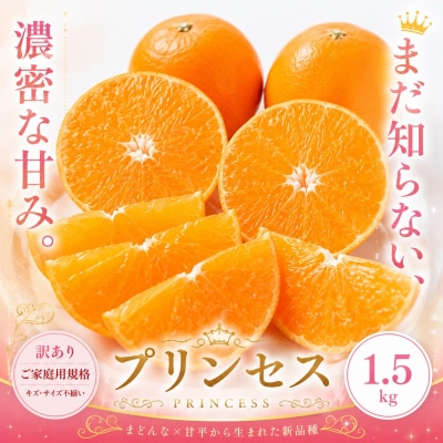 <訳あり 愛媛県産プリンセス 合計約1.5kg>幻の柑橘 希少種 甘い 人気柑橘 愛媛