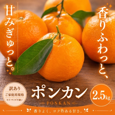 <訳あり 愛媛県産ポンカン 合計約2.5kg>ジューシー 甘い ご家庭用 愛媛