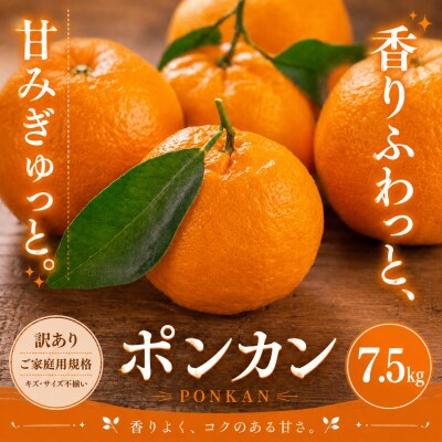 <訳あり 愛媛県産ポンカン 合計約7.5kg>ジューシー 甘い ご家庭用 愛媛果物 くだもの