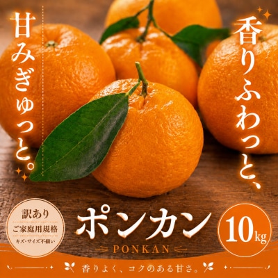 <訳あり 愛媛県産ポンカン 合計約10kg>ジューシー 甘い ご家庭用 愛媛果物 くだもの