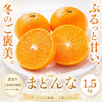 <訳あり 愛媛県産まどんな 合計約1.5kg>マドンナ ぷるぷる 食感 甘いご家庭用 果汁