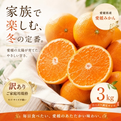 <訳あり 愛媛県産みかん 合計約3kg>ミカン 蜜柑 食感 甘い ご家庭用 果汁