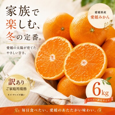 <訳あり 愛媛県産みかん 合計約6kg>ミカン 蜜柑 食感 甘い ご家庭用 果汁
