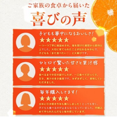 <訳あり 愛媛県産みかん 合計約6kg>ミカン 蜜柑 食感 甘い ご家庭用 果汁