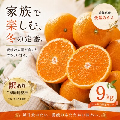 <訳あり 愛媛県産みかん 合計約9kg>ミカン 蜜柑 食感 甘い ご家庭用 果汁