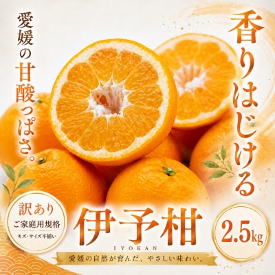 <訳あり 愛媛県産伊予柑 合計約2.5kg>爽やか いよかん ジューシー 甘い 果物 くだもの
