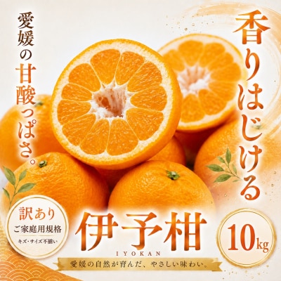 <訳あり 愛媛県産伊予柑 合計約10kg>爽やか いよかん ジューシー 甘い 果物 くだもの