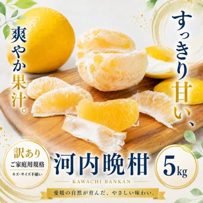 <訳あり 愛媛県産河内晩柑 合計約5kg>かわちばんかん ジューシー果汁 果物