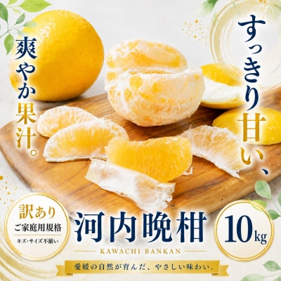 <訳あり 愛媛県産河内晩柑 合計約10kg>かわちばんかん ジューシー果汁 果物