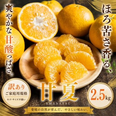 <訳あり 愛媛県産甘夏 合計約2.5kg>あまなつ 甘酸っぱいご家庭用 果汁 果物
