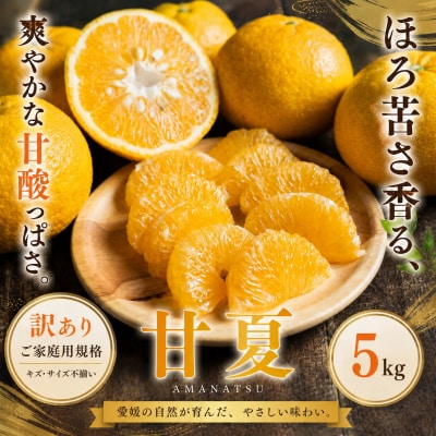 <訳あり 愛媛県産甘夏 合計約5kg>あまなつ 甘酸っぱいご家庭用 果汁 果物フルーツ 