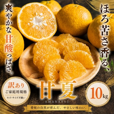 <訳あり 愛媛県産甘夏 合計約10kg>あまなつ 甘酸っぱいご家庭用 果汁 果物