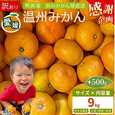【感謝企画】+500g<訳あり 温州みかん 約4kg> 家庭用 小玉 中玉 大玉 明浜産 果物