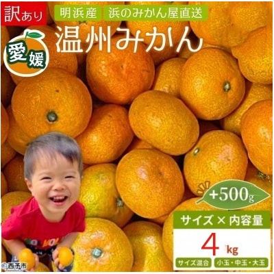 +500g<訳あり 温州みかん 約4kg> 家庭用 小玉 中玉 大玉 明浜産 果物