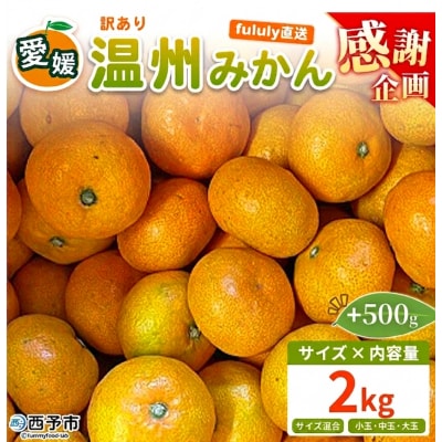 【感謝企画】+500g fululy直送 温州みかん 訳あり 約2kg ワケアリ サイズ混合家庭用 