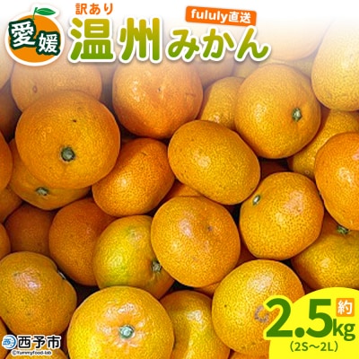 fululy直送 温州みかん 訳あり 約2.5kg ワケアリ サイズ混合家庭用 
