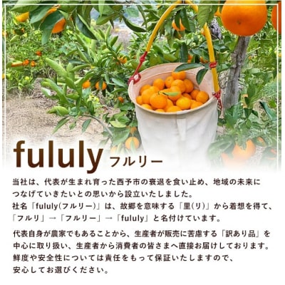 【感謝企画】+500g fululy直送 温州みかん 訳あり 約2kg ワケアリ サイズ混合家庭用 