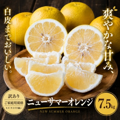 <訳あり 愛媛県産ニューサマーオレンジ 合計約7.5kg>日向夏 小夏 甘い ご家庭用 果汁