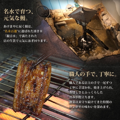 <あけまやのうなぎ茶漬け 1尾(約100g)+タレ+番茶>うなぎ 真空パック 鰻 名水百選 湧水