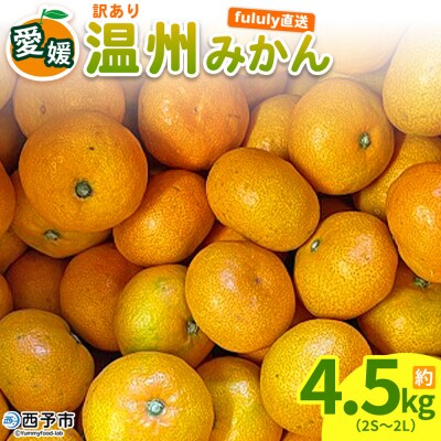 fululy直送 温州みかん 訳あり 約4.5kg ワケアリ サイズ混合家庭