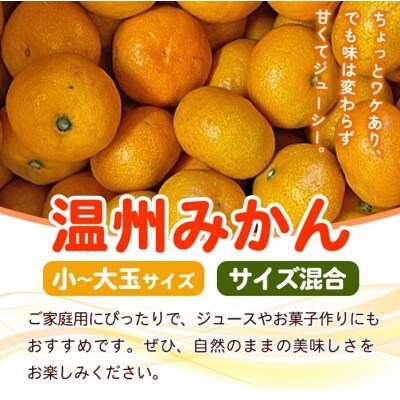 +500g fululy直送 温州みかん 訳あり 約4kg ワケアリ サイズ混合家庭