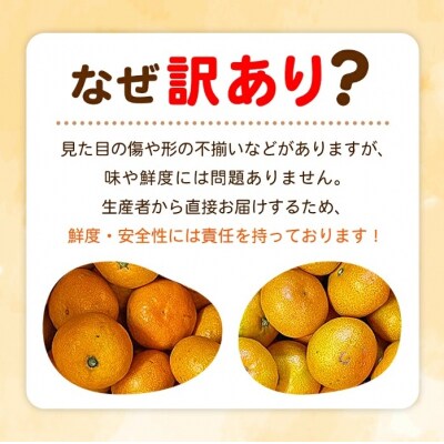+500g fululy直送 温州みかん 訳あり 約4kg ワケアリ サイズ混合家庭