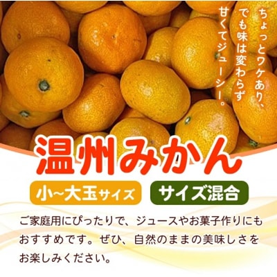 fululy直送 温州みかん 訳あり 約9kgワケアリ サイズ混合 家庭用 果物 フルーツ 