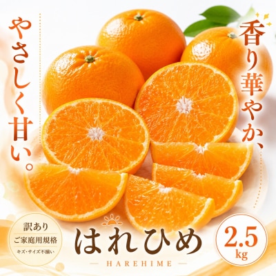 <訳あり 愛媛県産はれひめ 合計約2.5kg>甘い あまい 果汁 果物 柑橘 人気柑橘 愛媛
