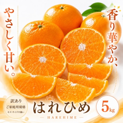 <訳あり 愛媛県産はれひめ 合計約5kg>甘い あまい 果汁 果物 柑橘 人気柑橘 愛媛