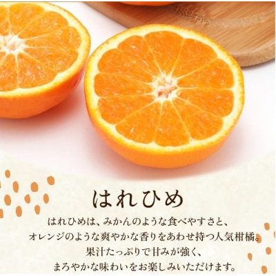 <訳あり 愛媛県産はれひめ 合計約5kg>甘い あまい 果汁 果物 柑橘 人気柑橘 愛媛
