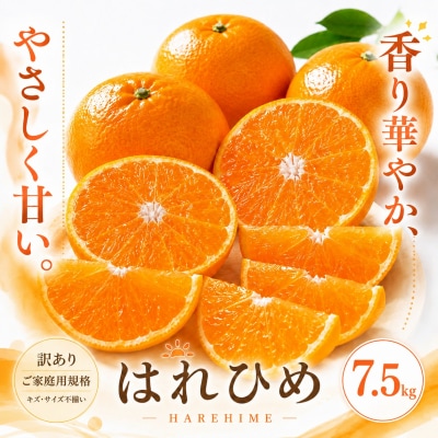<訳あり 愛媛県産はれひめ 合計約7.5kg>甘い あまい 果汁 果物 柑橘 人気柑橘 愛媛
