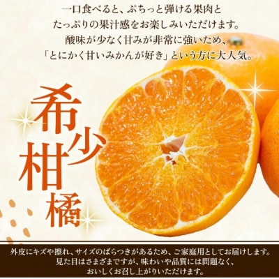 <訳あり 愛媛県産甘平 合計約1.5kg>かんぺい 希少種 ご家庭用柑橘 人気柑橘 愛媛県