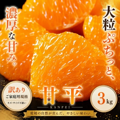  <訳あり 愛媛県産甘平 合計約3kg>かんぺい 希少種 ご家庭用柑橘 人気柑橘 愛媛県