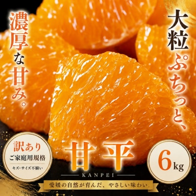 <訳あり 愛媛県産甘平 合計約6kg>かんぺい 希少種 ご家庭用柑橘 人気柑橘 愛媛県