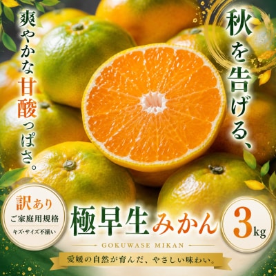 <訳あり 愛媛県産極早生みかん 合計約3kg>ご家庭用 果汁 果物 人気柑橘 愛媛県