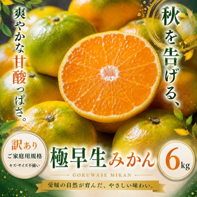 <訳あり 愛媛県産極早生みかん 合計約6kg>ご家庭用 果汁 果物 人気柑橘 愛媛県