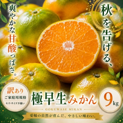<訳あり 愛媛県産極早生みかん 合計約9kg>ご家庭用 果汁 果物 人気柑橘 愛媛県