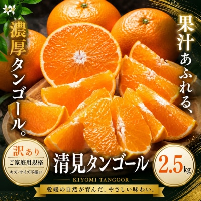 <訳あり 愛媛県産清見タンゴール 合計約2.5kg>濃厚 甘い ご家庭用 果汁 果物 愛媛
