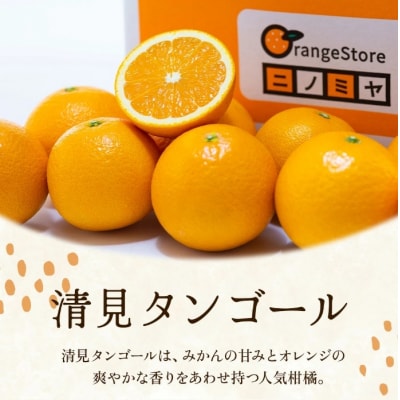 <訳あり 愛媛県産清見タンゴール 合計約2.5kg>濃厚 甘い ご家庭用 果汁 果物 愛媛