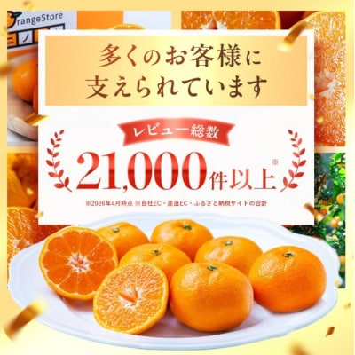 <訳あり 愛媛県産清見タンゴール 合計約2.5kg>濃厚 甘い ご家庭用 果汁 果物 愛媛