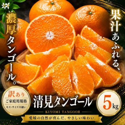 <訳あり 愛媛県産清見タンゴール 合計約5kg>濃厚 甘い ご家庭用 果汁 果物 愛媛