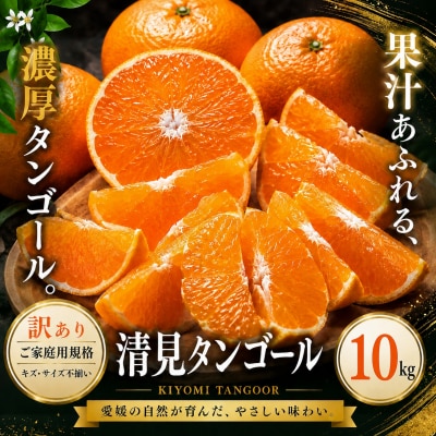 <訳あり 愛媛県産清見タンゴール 合計約10kg>濃厚 甘い ご家庭用 果汁 果物 愛媛