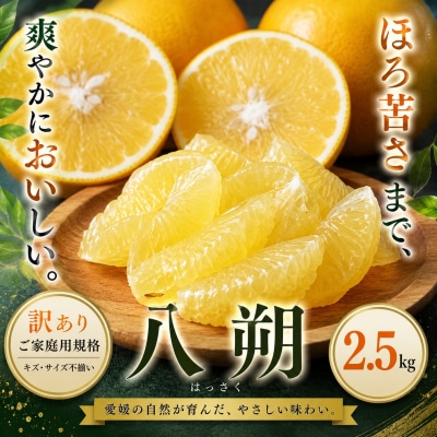<訳あり 愛媛県産八朔 合計約2.5kg>果汁 果物 はっさく人気柑橘 特産品 愛媛