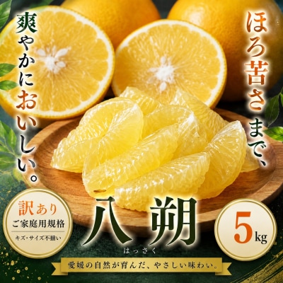  <訳あり 愛媛県産八朔 合計約5kg>果汁 果物 はっさく人気柑橘 特産品 愛媛