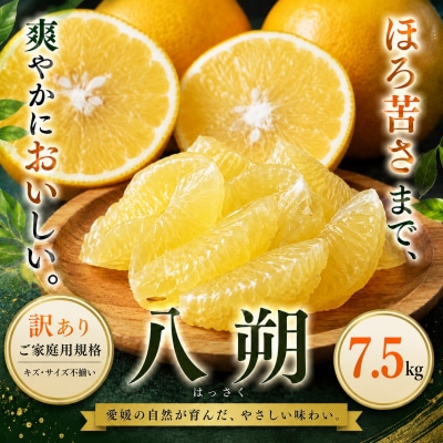 <訳あり 愛媛県産八朔 合計約7.5kg>果汁 果物 はっさく人気柑橘 特産品 愛媛